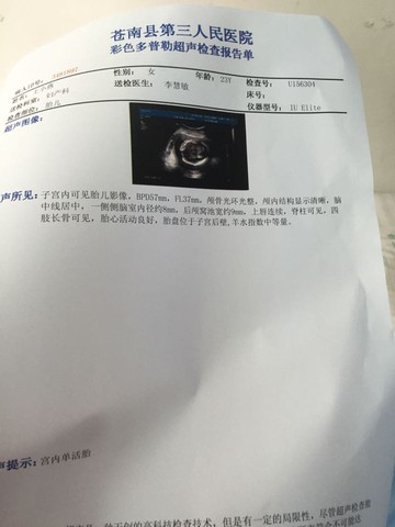 journal_insert_pic_254229985