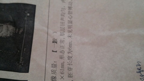 journal_insert_pic_254086746