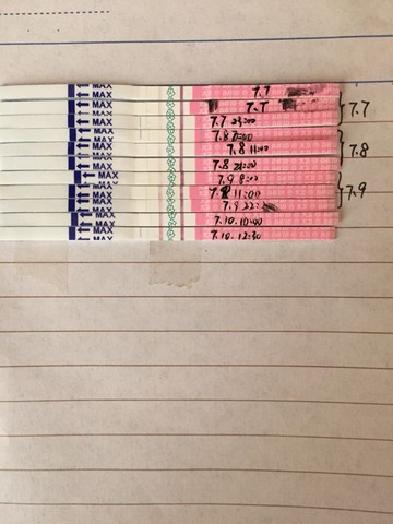 journal_insert_pic_254605628