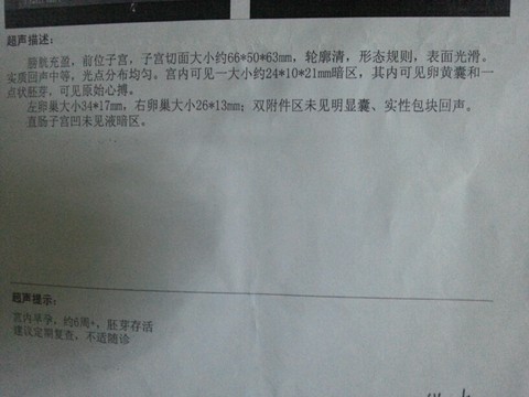 journal_insert_pic_255098769