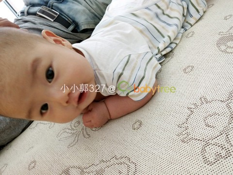 journal_insert_pic_255019413