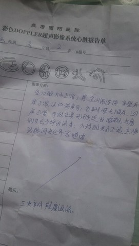 journal_insert_pic_254971004