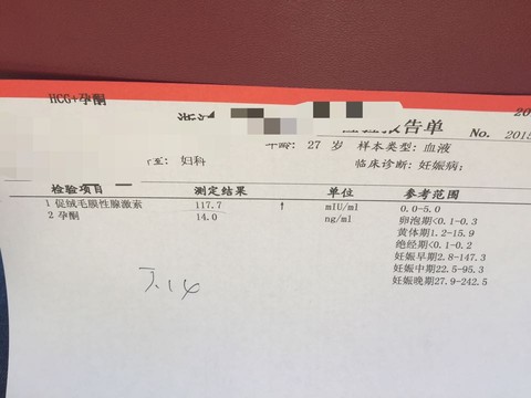 journal_insert_pic_255403253