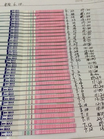 journal_insert_pic_255336380