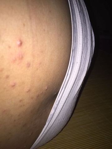 journal_insert_pic_255588653