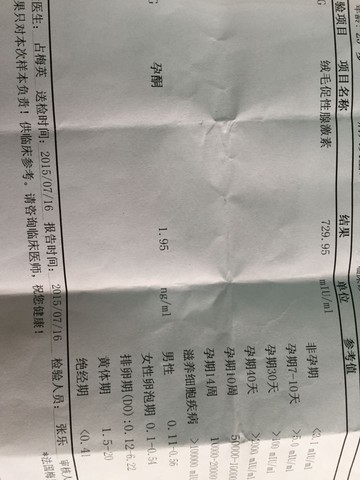 journal_insert_pic_257102791