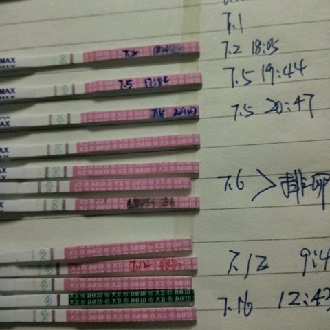 journal_insert_pic_257103178