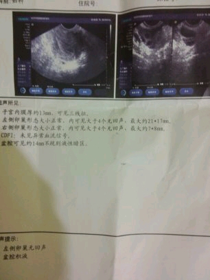 journal_insert_pic_259776042