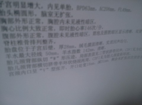journal_insert_pic_260029070