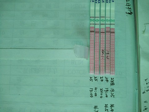 journal_insert_pic_260927770
