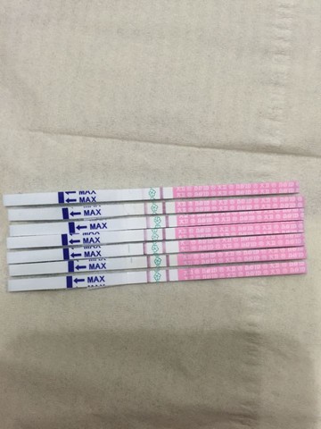 journal_insert_pic_262476440