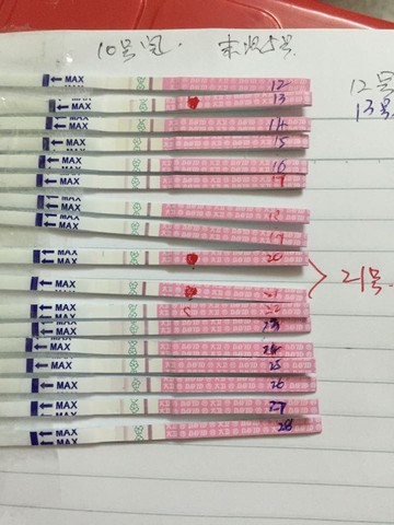 journal_insert_pic_262548014