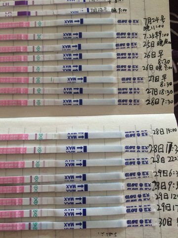 journal_insert_pic_263040400
