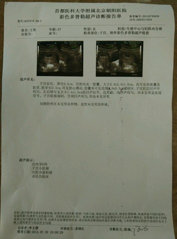 journal_insert_pic_263615359