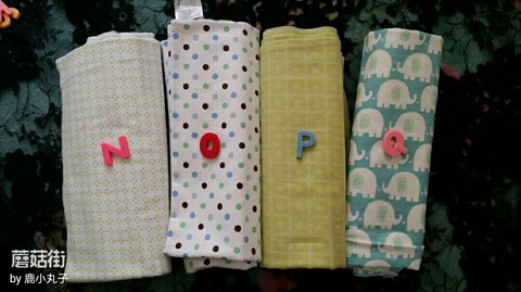 journal_insert_pic_263555873