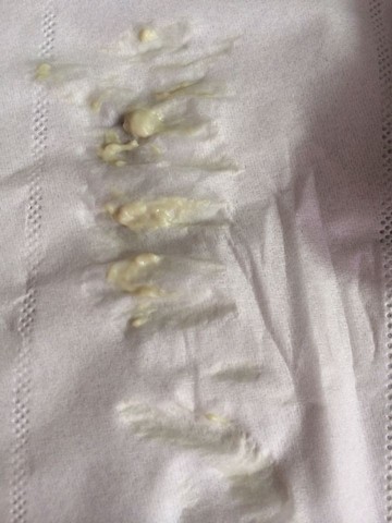 journal_insert_pic_263559460
