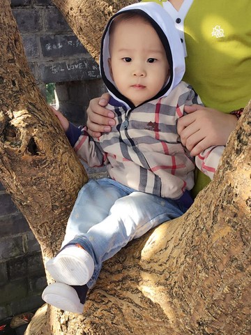 journal_insert_pic_264214254