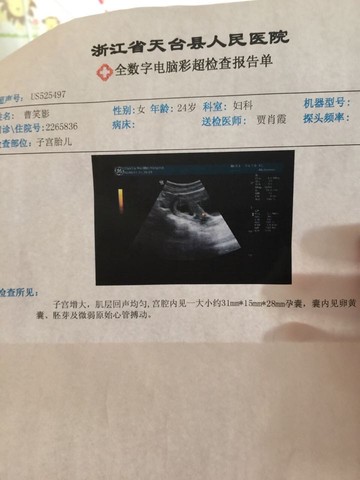journal_insert_pic_264574262