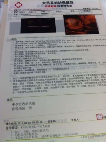journal_insert_pic_265743620