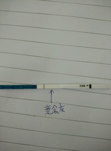 journal_insert_pic_265661025