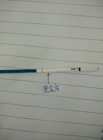 journal_insert_pic_265660628