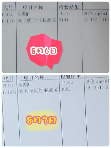 journal_insert_pic_266101531