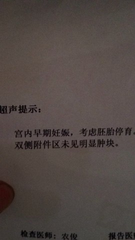 journal_insert_pic_266730545