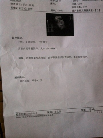 journal_insert_pic_266559454