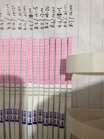 journal_insert_pic_266652025