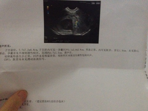 journal_insert_pic_266730511
