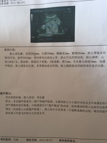 journal_insert_pic_267006346