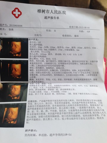 journal_insert_pic_267068852