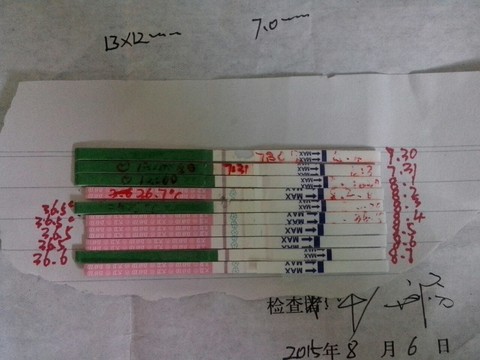 journal_insert_pic_267425773