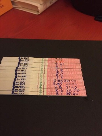 journal_insert_pic_267368973