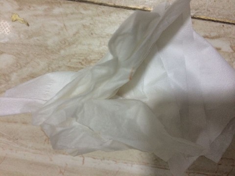 journal_insert_pic_268300401