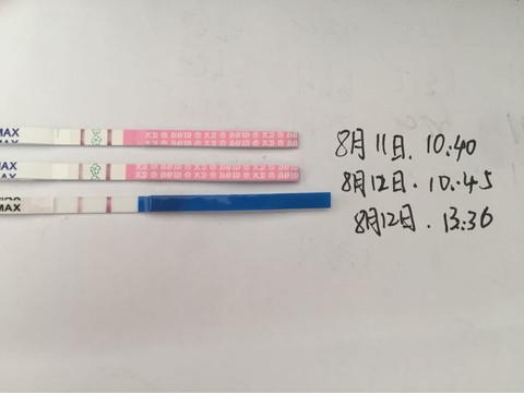 journal_insert_pic_269224186