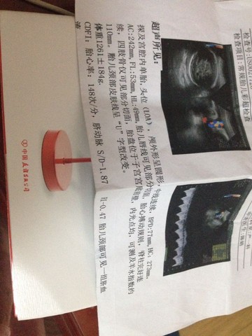 journal_insert_pic_270015137