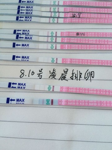 journal_insert_pic_270284965