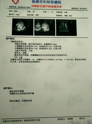 journal_insert_pic_272590908
