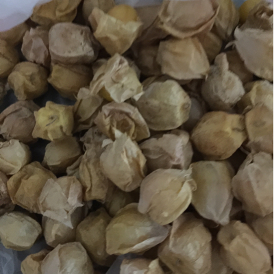 宝宝9个月了能吃菇娘么?