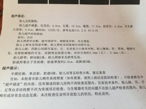 journal_insert_pic_273718657