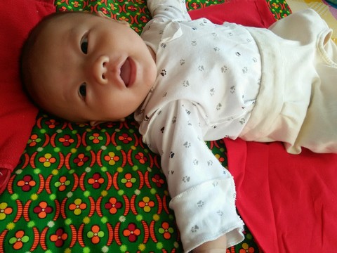 journal_insert_pic_274048662