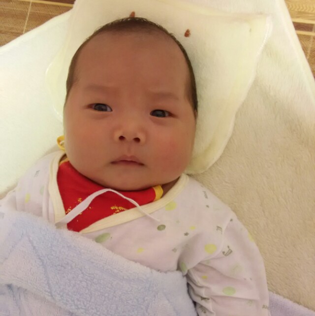 杨子凡baby