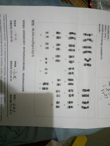 journal_insert_pic_274616837