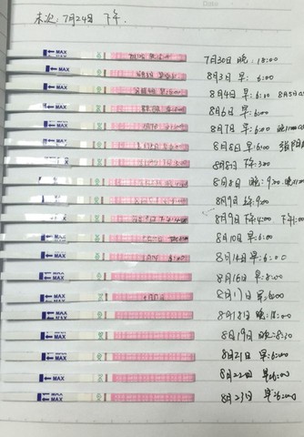 journal_insert_pic_276503755