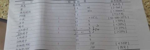journal_insert_pic_277509098
