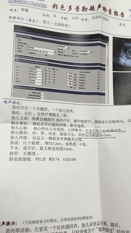 journal_insert_pic_277817685