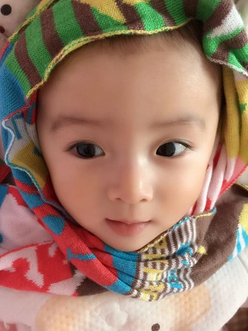 journal_insert_pic_277572302
