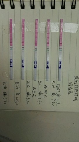journal_insert_pic_277551232