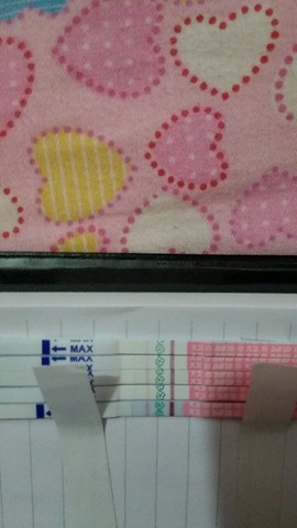 journal_insert_pic_278191062